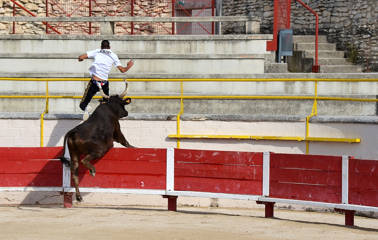 青训体系是