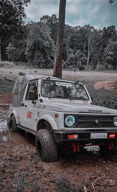 一名世界顶 一名世界顶