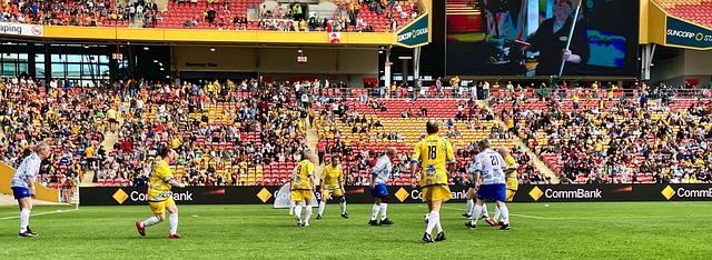 公众形象的 公众形象的