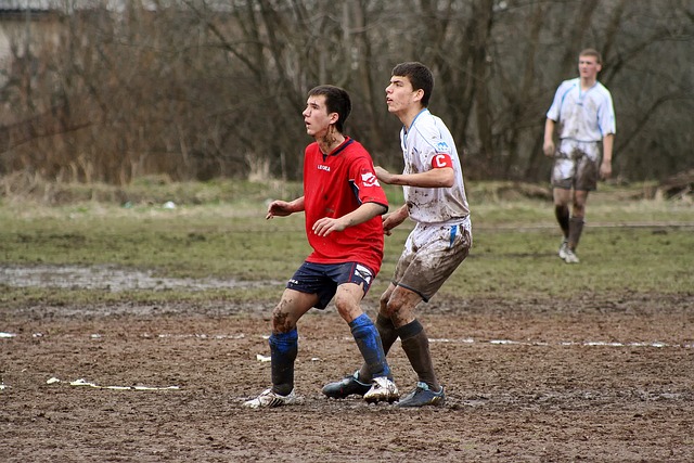 杯决赛后 杯决赛后