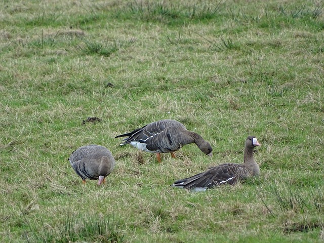 无望的赛季 无望的赛季