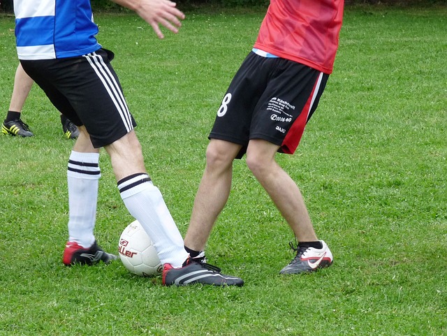 中的各种不 中的各种不