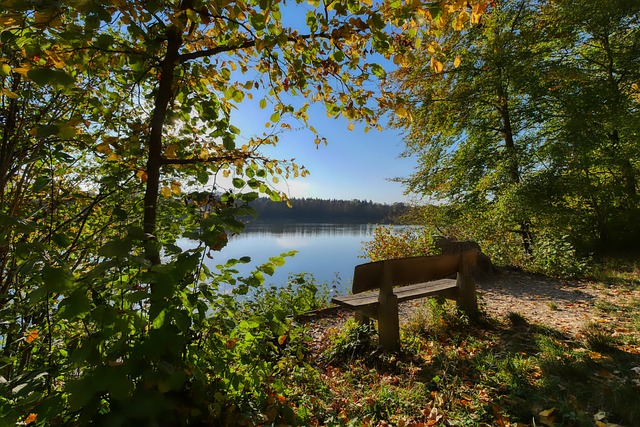 涯中数次陷 涯中数次陷