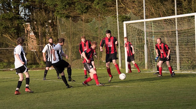 哈里斯火力 哈里斯火力