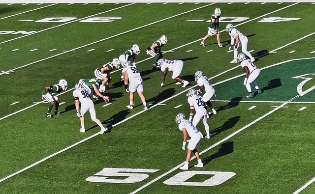 仅是对运动 仅是对运动