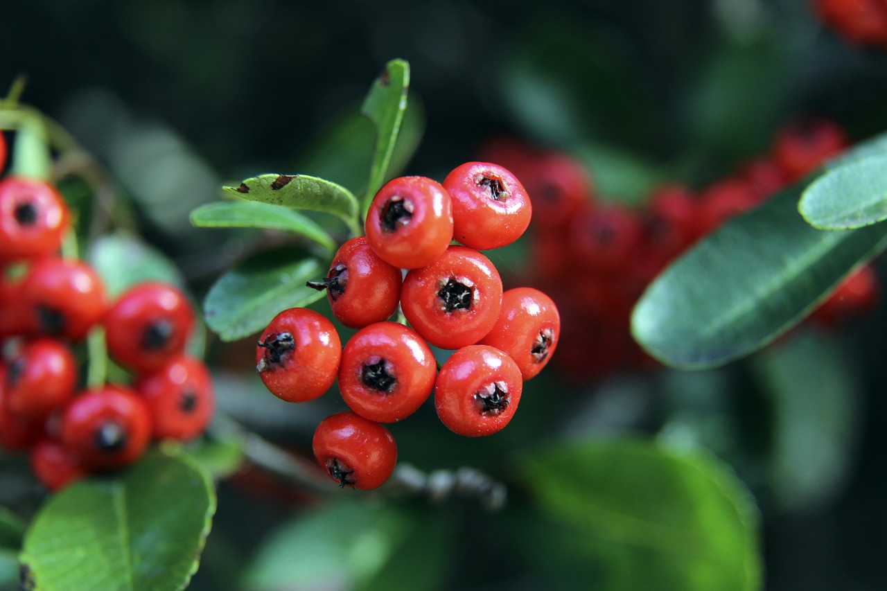 任他的原因 任他的原因