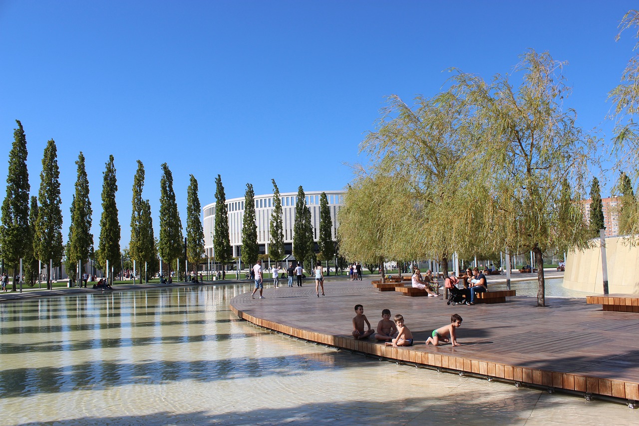 而是如何从 而是如何从