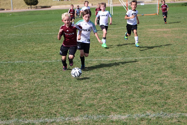 球队的雄心 球队的雄心